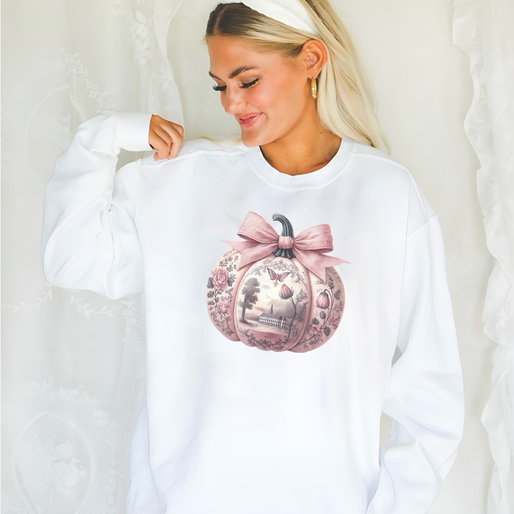 Toile De Jouy Coquette Pumpkim with Bow Sweatshirt Soft Pink Ribbon Sweater